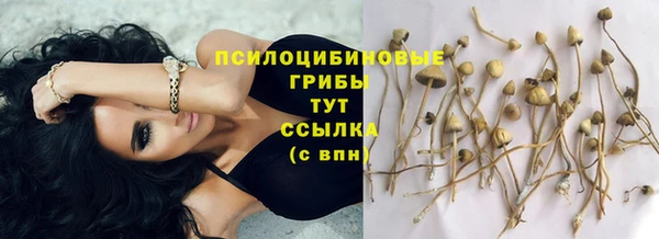 кокс Надым