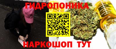 стаф Балахна