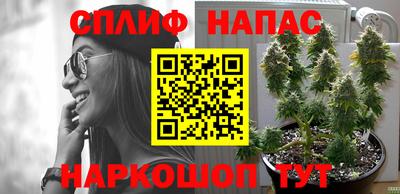 стаф Балахна